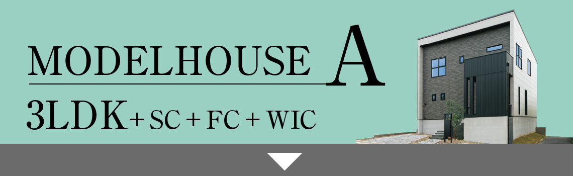 MODELHOUSE A