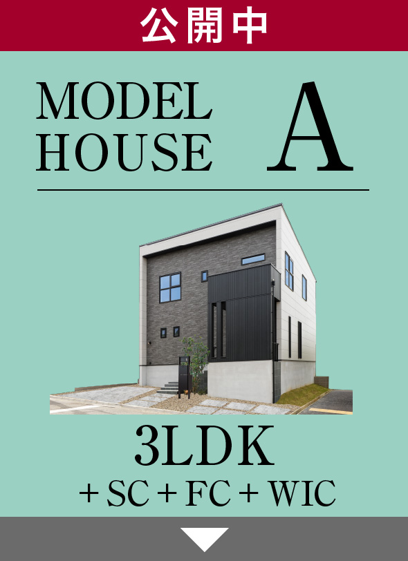 MODELHOUSE A