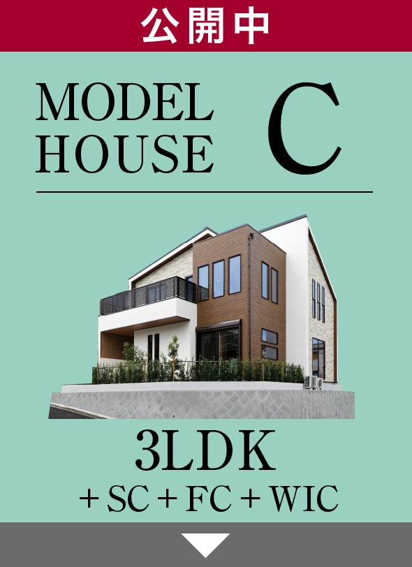 MODELHOUSE C